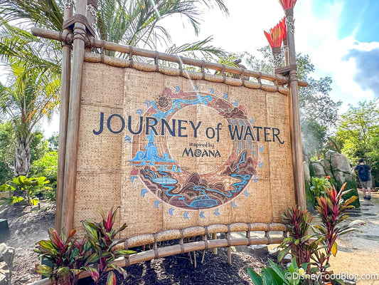 The Journey of Water at Disney: A Dive into Nature and Imagination