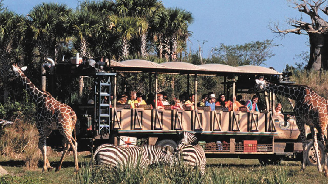 Disney Safari Adventure