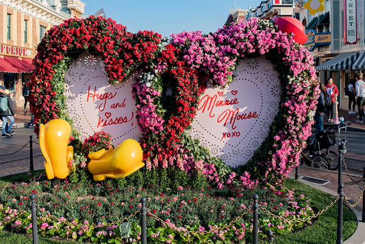 Valentines Day at Disney